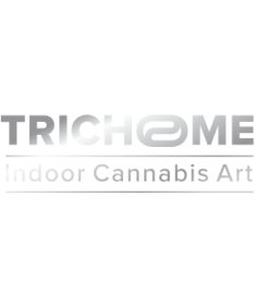 trichome